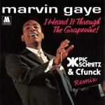 I Heard It Through The Grapevine (Pic Schmitz & Cfunck Remix) | Marvin Gaye
