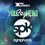 You Say Hello (Mause Remix) | Pic Schmitz